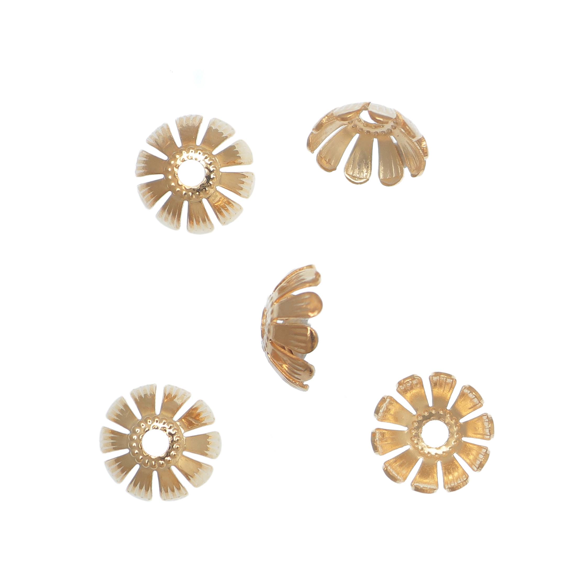 Coppetta in filigrana leggermente bombata con 10 petali, 11mm.