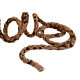 Precedente