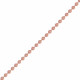 Precedente