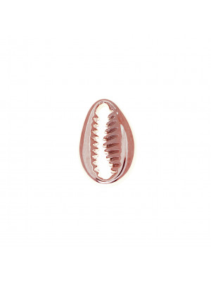 Ciondolo a forma di conchiglia ciprea, 8x12mm.