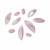 Mix Conchiglia colore ROSA CHIARO