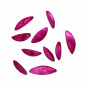 Mix Conchiglia colore FUCSIA