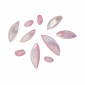 Mix Conchiglia colore ROSA CHIARO