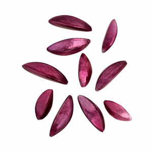 Mix Conchiglia colore MELANZANA