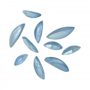 Mix Conchiglia colore AZZURRO