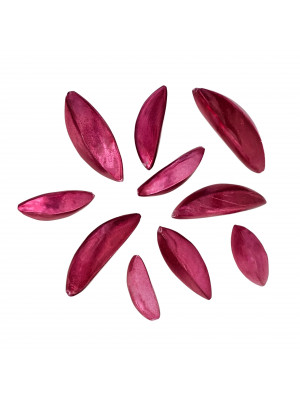 Mix Conchiglia colore FUXIA