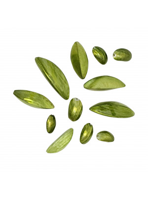 Mix Conchiglia colore VERDE OLIVA